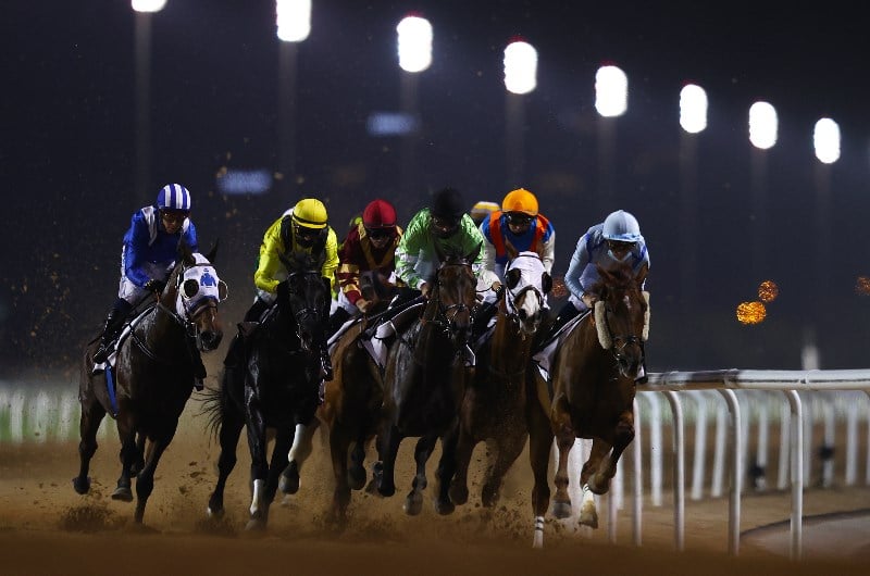 meydanmeydan