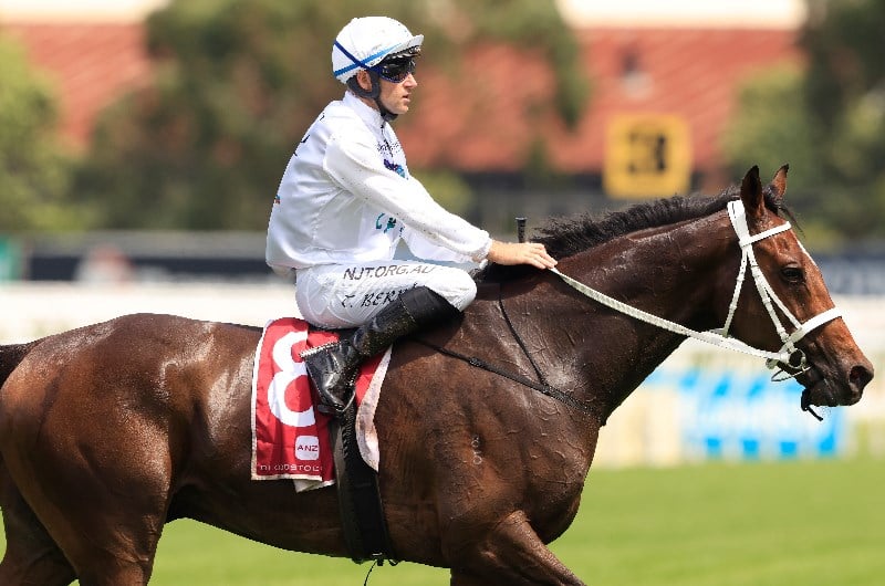 tommy berry megabet
