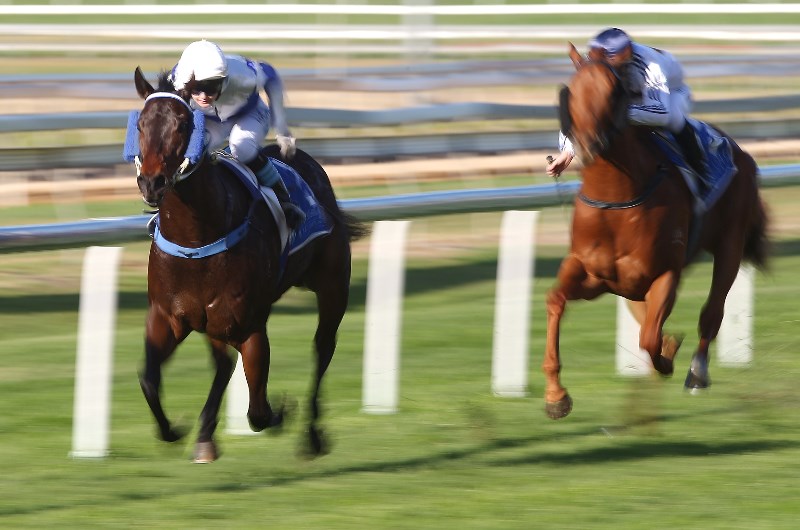 Doomben Betting Tips