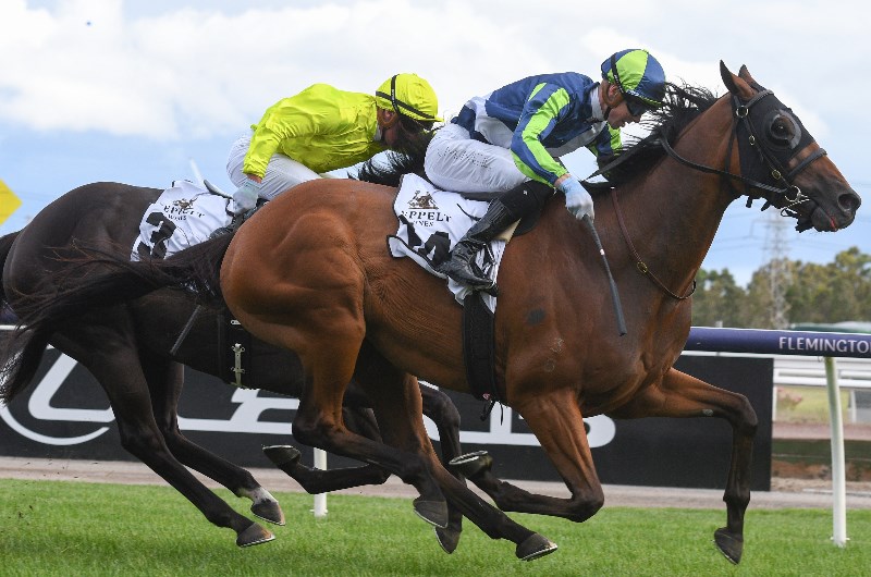 Weekend Racing Multi