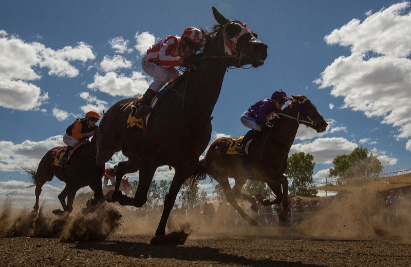 Darwin racecourse static