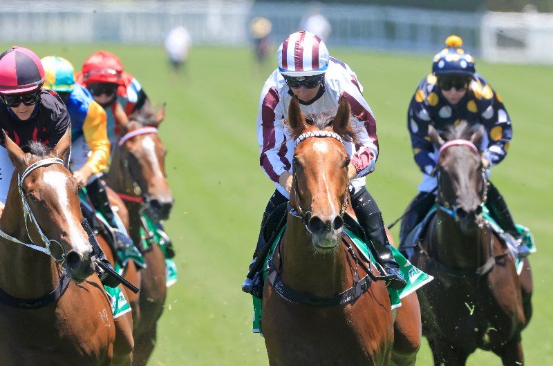 Nowra Tips for 14.02.2021