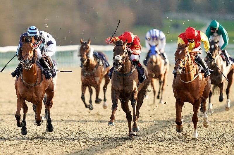 lingfield races