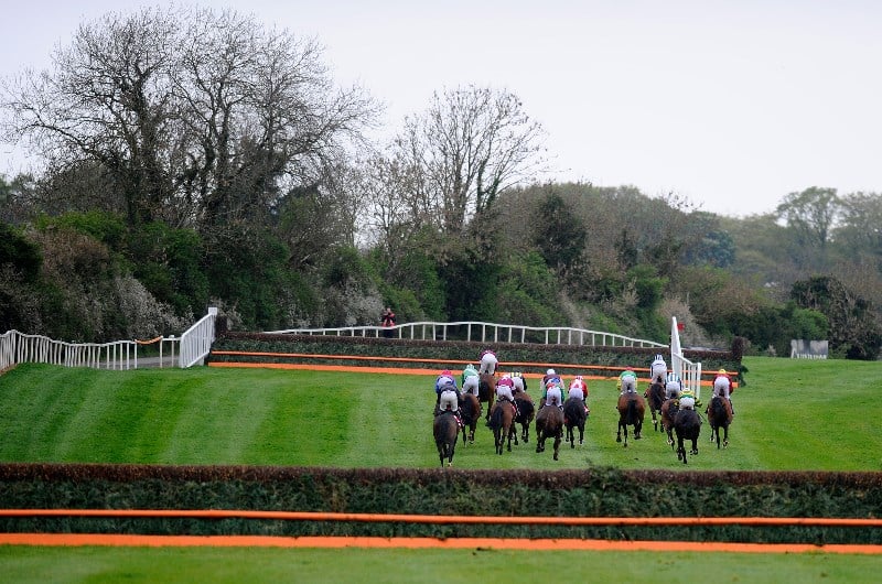 punchestown chase