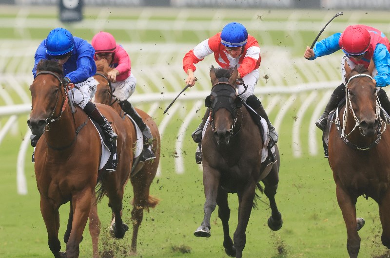 Big Bets Results from 13.02.2021