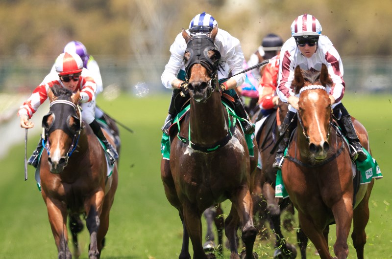 Goulburn Tips for 16.02.2021