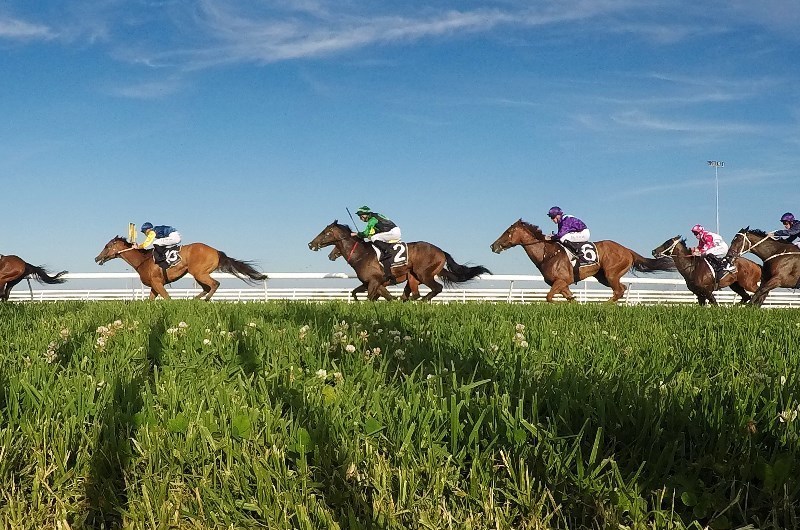 Scone racing tips for 14.01.2020