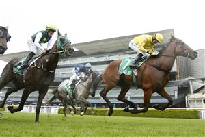 SYDNEY, AUSTRALIA - FEBRUARY 13: Grant Buckley on Birdonawinningpost wins race 3 the TAB Highway Class 3 Handicap during Sydney Racing at Royal Randwick Racecourse on February 13, 2021 in Sydney, Australia. (Photo by Mark Evans/Getty Images)