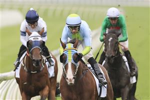 SYDNEY, AUSTRALIA - FEBRUARY 13: Jay Ford on Pandano wins race 5 the ACY Securities Handicap during Sydney Racing at Royal Randwick Racecourse on February 13, 2021 in Sydney, Australia. (Photo by Mark Evans/Getty Images)