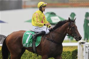 SYDNEY, AUSTRALIA - FEBRUARY 13: Grant Buckley on Birdonawinningpost returns to scale after winning race 3 the TAB Highway Class 3 Handicap during Sydney Racing at Royal Randwick Racecourse on February 13, 2021 in Sydney, Australia. (Photo by Mark Evans/Getty Images)
