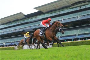 SYDNEY, AUSTRALIA - FEBRUARY 13: James McDonald on Poetic Charmer wins race 9 the Ranvet Handicap during Sydney Racing at Royal Randwick Racecourse on February 13, 2021 in Sydney, Australia. (Photo by Mark Evans/Getty Images)