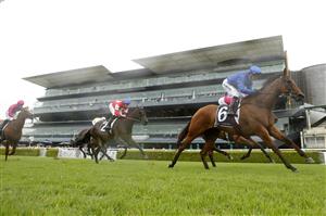 SYDNEY, AUSTRALIA - FEBRUARY 13: Kerrin McEvoy on Tailleur wins race 4 the Rubric Lodge Triscay Stakes during Sydney Racing at Royal Randwick Racecourse on February 13, 2021 in Sydney, Australia. (Photo by Mark Evans/Getty Images)