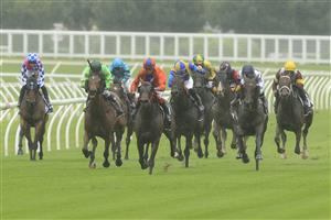 SYDNEY, AUSTRALIA - FEBRUARY 13: Nash Rawiller on Kaapfever (orange) wins race 1 the Agency Real Estate Handicap during Sydney Racing at Royal Randwick Racecourse on February 13, 2021 in Sydney, Australia. (Photo by Mark Evans/Getty Images)
