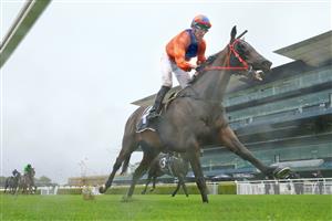 SYDNEY, AUSTRALIA - FEBRUARY 13: Nash Rawiller on Kaapfever wins race 1 the Agency Real Estate Handicap during Sydney Racing at Royal Randwick Racecourse on February 13, 2021 in Sydney, Australia. (Photo by Mark Evans/Getty Images)