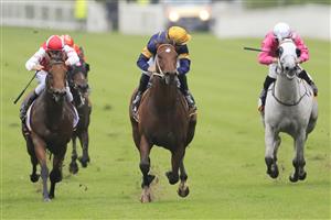 SYDNEY, AUSTRALIA - FEBRUARY 13: Tommy Berry on Masked Crusader (yellow cap) wins race 6 the Cellarbrations Southern Cross Stakes during Sydney Racing at Royal Randwick Racecourse on February 13, 2021 in Sydney, Australia. (Photo by Mark Evans/Getty Images)