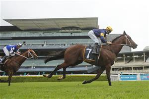 SYDNEY, AUSTRALIA - FEBRUARY 13: Tommy Berry on Masked Crusader wins race 6 the Cellarbrations Southern Cross Stakes during Sydney Racing at Royal Randwick Racecourse on February 13, 2021 in Sydney, Australia. (Photo by Mark Evans/Getty Images)