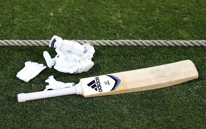 cricket bat general