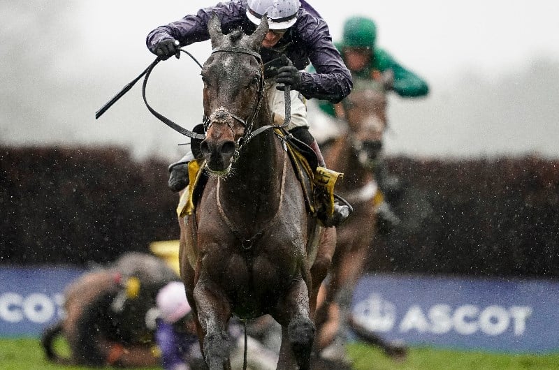 cyrname ascot