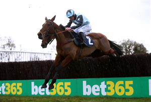 WETHERBY, ENGLAND - FEBRUARY 17: Destinee Royale ridden by Charlie Deutsch clears a fence on their way to winning the Racing TV HD On Sky 426 Handicap Chase at Wetherby Racecourse on February 17, 2021 in Wetherby, England. (Photo by Pool/Getty Images)