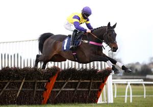WETHERBY, ENGLAND - FEBRUARY 17: Ballybegg ridden by Richard Patrick clears a fence on their way to winning the Every Race Live On Racing TV Novices' Hurdle at Wetherby Racecourse on February 17, 2021 in Wetherby, England. (Photo by Tim Goode-Pool/Getty Images)