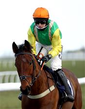 WETHERBY, ENGLAND - FEBRUARY 17: Midnight Shadow ridden by Ryan Mania prior to the beginning of the racingtv.com Handicap Hurdle at Wetherby Racecourse on February 17, 2021 in Wetherby, England. (Photo by Tim Goode - Pool/Getty Images)