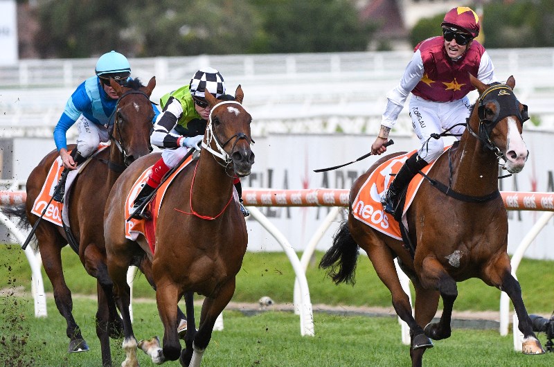 Caulfield Betting Tips