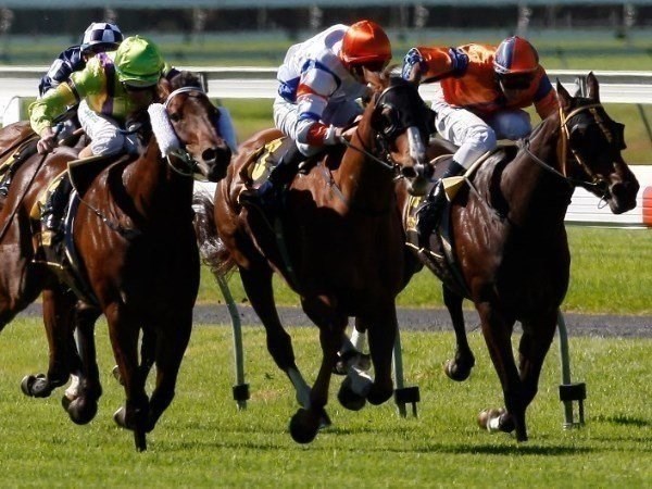 Morphettville tips