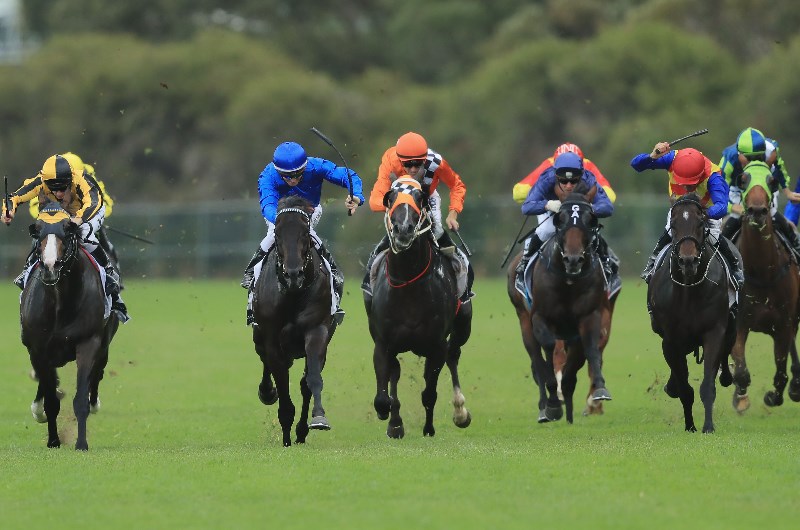 Rosehill Tips for 20.02.2021