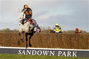 ESHER, ENGLAND - FEBRUARY 18: A general view as runners clear a fence during The Littleworth Handicap Chase at Sandown Park Racecourse on February 18, 2021 in Esher, England. Due to the coronavirus pandemic, owners along with the paying public will not be allowed to attend the meeting. (Photo by Alan Crowhurst/Getty Images)
