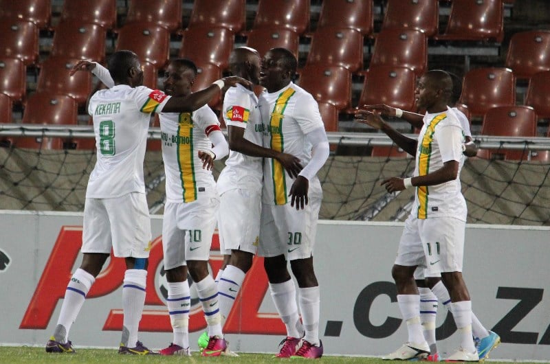 Black leopards