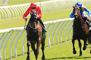 Blue Diamond Stakes 2022 Tips Betting Advice Expert Selections