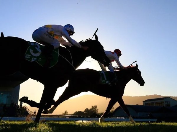 scone racecourse static