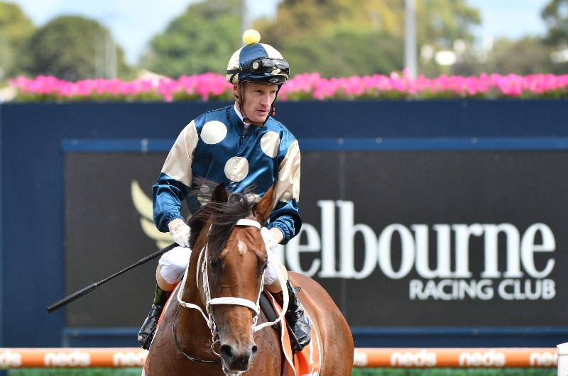 Australian Guineas Betting Odds