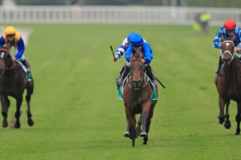 Chipping Norton Stakes Tips