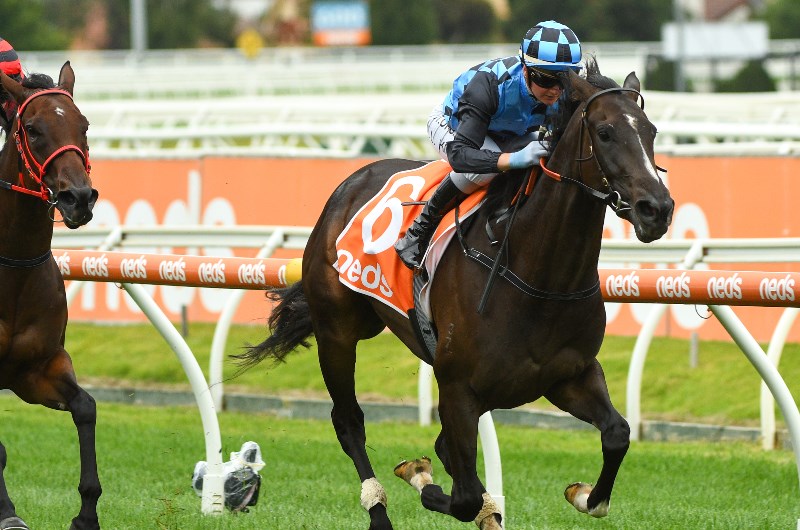 Surround Stakes Tips