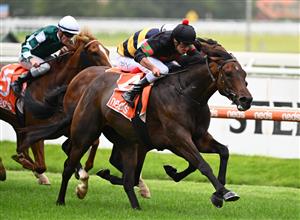 MELBOURNE, AUSTRALIA - FEBRUARY 20: Billy Egan riding Defibrillate wins Race 1, The Neds Mornington Cup Prelude, during Blue Diamond Stakes Day at Caulfield Racecourse on February 20, 2021 in Melbourne, Australia. (Photo by Vince Caligiuri/Getty Images)