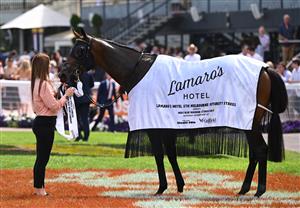 MELBOURNE, AUSTRALIA - FEBRUARY 20: Damian Lane riding Probabeel after winning race 6, the Lamaros Sth Melbourne Futurity Stakes, during Blue Diamond Stakes Day at Caulfield Racecourse on February 20, 2021 in Melbourne, Australia. (Photo by Vince Caligiuri/Getty Images)