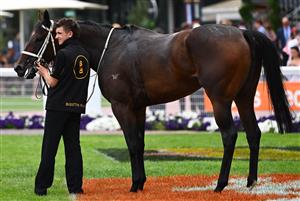MELBOURNE, AUSTRALIA - FEBRUARY 20: Rich Hips after winning Race 4, the Premier Signs Mannerism Stakes, during Blue Diamond Stakes Day at Caulfield Racecourse on February 20, 2021 in Melbourne, Australia. (Photo by Vince Caligiuri/Getty Images)