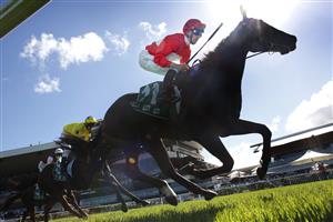 SYDNEY, AUSTRALIA - FEBRUARY 20: Sam Clipperton on Sacramento wins race 6 the Parramatta Cup during Sydney Racing at Rosehill Gardens on February 20, 2021 in Sydney, Australia. (Photo by Mark Evans/Getty Images)