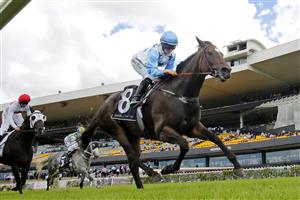 SYDNEY, AUSTRALIA - FEBRUARY 20: Rachel King on Nimalee wins race 3 the NSW Jockeys Association Handicap during Sydney Racing at Rosehill Gardens on February 20, 2021 in Sydney, Australia. (Photo by Mark Evans/Getty Images)