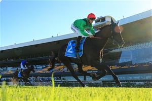 SYDNEY, AUSTRALIA - FEBRUARY 20: Josh Parr on Starspangled Rodeo wins race 9 the Cleanaway Handicap during Sydney Racing at Rosehill Gardens on February 20, 2021 in Sydney, Australia. (Photo by Mark Evans/Getty Images)