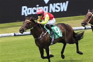 SYDNEY, AUSTRALIA - FEBRUARY 20: Rachel King on Blue Missile wins race 2 the TAB Highway Class 3 Handicap during Sydney Racing at Rosehill Gardens on February 20, 2021 in Sydney, Australia. (Photo by Mark Evans/Getty Images)