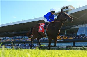 SYDNEY, AUSTRALIA - FEBRUARY 20: Rachel King on Emanate wins race 8 the Sharp Extensive IT Handicap during Sydney Racing at Rosehill Gardens on February 20, 2021 in Sydney, Australia. (Photo by Mark Evans/Getty Images)