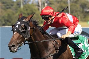 SYDNEY, AUSTRALIA - FEBRUARY 20: Sam Clipperton on Sacramento wins race 6 the Parramatta Cup during Sydney Racing at Rosehill Gardens on February 20, 2021 in Sydney, Australia. (Photo by Mark Evans/Getty Images)