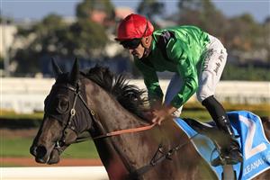 SYDNEY, AUSTRALIA - FEBRUARY 20: Josh Parr on Starspangled Rodeo wins race 9 the Cleanaway Handicap during Sydney Racing at Rosehill Gardens on February 20, 2021 in Sydney, Australia. (Photo by Mark Evans/Getty Images)