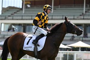MELBOURNE, AUSTRALIA - FEBRUARY 20: Damian Lane riding Probabeel after winning race 6, the Lamaros Sth Melbourne Futurity Stakes, during Blue Diamond Stakes Day at Caulfield Racecourse on February 20, 2021 in Melbourne, Australia. (Photo by Vince Caligiuri/Getty Images)