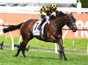 MELBOURNE, AUSTRALIA - FEBRUARY 20: Damian Lane riding Probabeel to win race 6, the Lamaros Sth Melbourne Futurity Stakes, during Blue Diamond Stakes Day at Caulfield Racecourse on February 20, 2021 in Melbourne, Australia. (Photo by Vince Caligiuri/Getty Images)