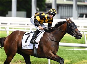 MELBOURNE, AUSTRALIA - FEBRUARY 20: Damian Lane riding Probabeel to win race 6, the Lamaros Sth Melbourne Futurity Stakes, during Blue Diamond Stakes Day at Caulfield Racecourse on February 20, 2021 in Melbourne, Australia. (Photo by Vince Caligiuri/Getty Images)