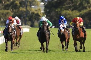 SYDNEY, AUSTRALIA - FEBRUARY 20: Hugh Bowman on Aegon wins race 7 the City Tattersalls Club Hobartville Stakes during Sydney Racing at Rosehill Gardens on February 20, 2021 in Sydney, Australia. (Photo by Mark Evans/Getty Images)