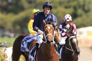 SYDNEY, AUSTRALIA - FEBRUARY 20: James McDonald on Home Affairs returns to scale after winning race 5 the Iron Jack Silver Slipper Stakes during Sydney Racing at Rosehill Gardens on February 20, 2021 in Sydney, Australia. (Photo by Mark Evans/Getty Images)